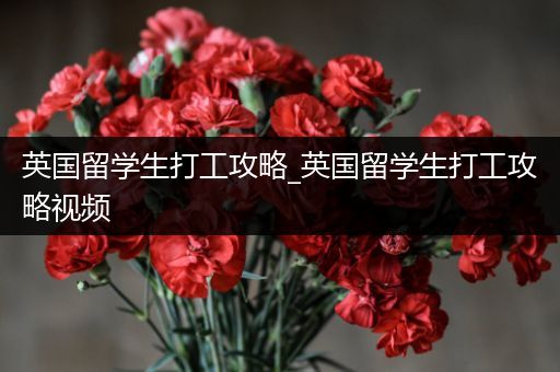 英国留学生打工攻略_英国留学生打工攻略视频