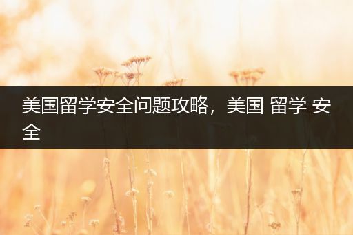 美国留学安全问题攻略，美国 留学 安全