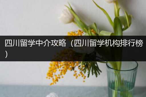 四川留学中介攻略（四川留学机构排行榜）