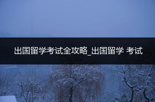 出国留学考试全攻略_出国留学 考试