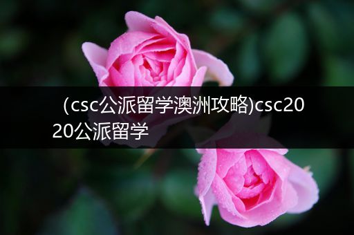 （csc公派留学澳洲攻略)csc2020公派留学