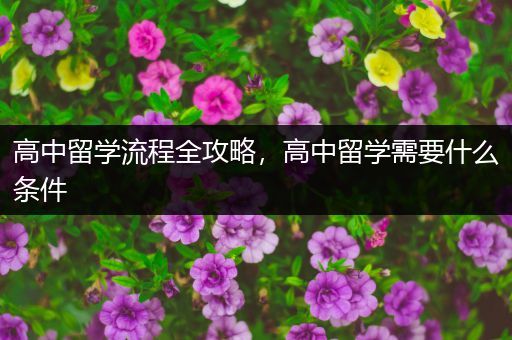 高中留学流程全攻略，高中留学需要什么条件