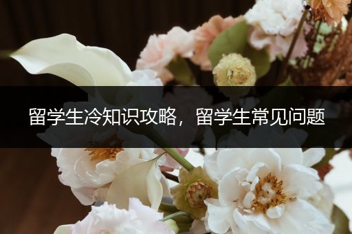 留学生冷知识攻略，留学生常见问题