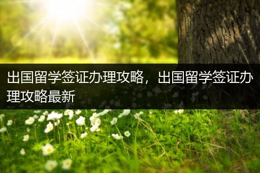 出国留学签证办理攻略，出国留学签证办理攻略最新