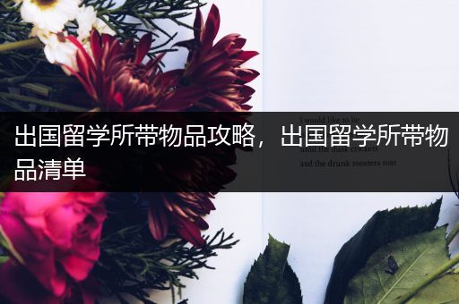 出国留学所带物品攻略，出国留学所带物品清单