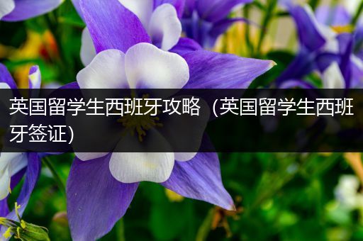 英国留学生西班牙攻略（英国留学生西班牙签证）
