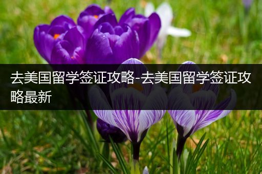 去美国留学签证攻略-去美国留学签证攻略最新