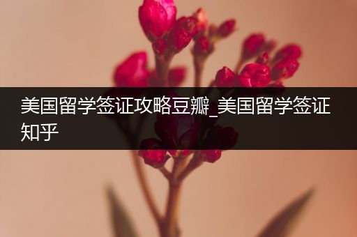 美国留学签证攻略豆瓣_美国留学签证 知乎