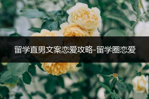 留学直男文案恋爱攻略-留学圈恋爱