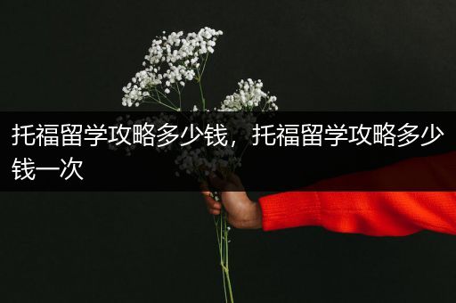 托福留学攻略多少钱，托福留学攻略多少钱一次