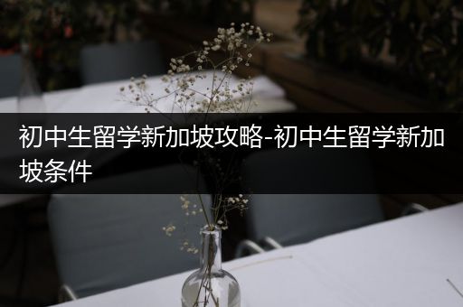 初中生留学新加坡攻略-初中生留学新加坡条件