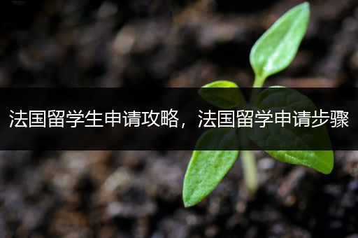 法国留学生申请攻略，法国留学申请步骤