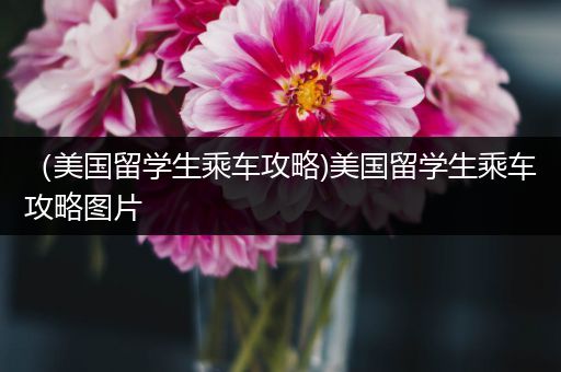 （美国留学生乘车攻略)美国留学生乘车攻略图片