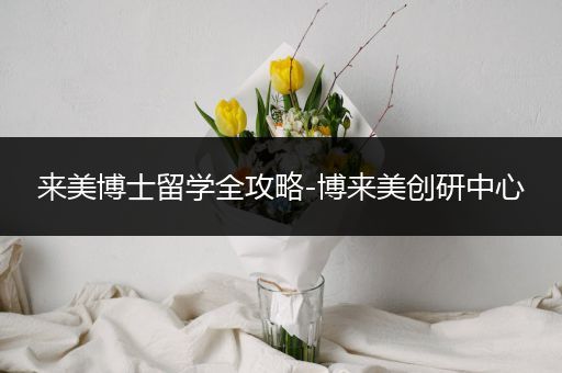 来美博士留学全攻略-博来美创研中心