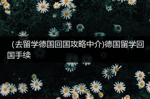 （去留学德国回国攻略中介)德国留学回国手续