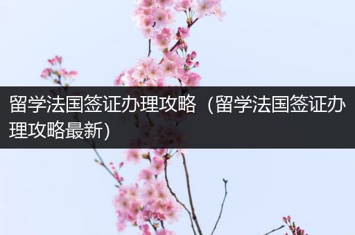 留学法国签证办理攻略（留学法国签证办理攻略最新）