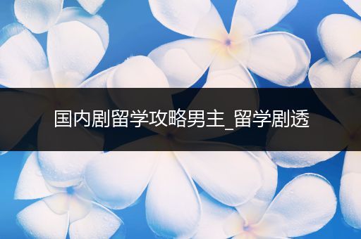 国内剧留学攻略男主_留学剧透