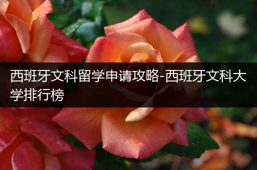 西班牙文科留学申请攻略-西班牙文科大学排行榜