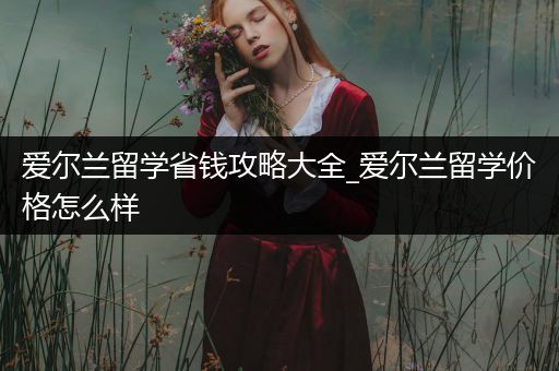 爱尔兰留学省钱攻略大全_爱尔兰留学价格怎么样
