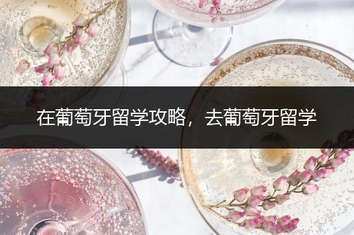 在葡萄牙留学攻略，去葡萄牙留学