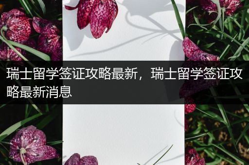 瑞士留学签证攻略最新，瑞士留学签证攻略最新消息