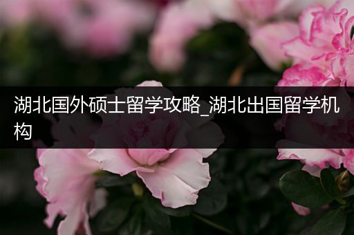 湖北国外硕士留学攻略_湖北出国留学机构