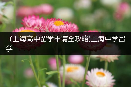 （上海高中留学申请全攻略)上海中学留学