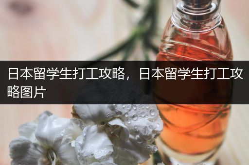 日本留学生打工攻略，日本留学生打工攻略图片