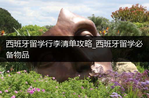 西班牙留学行李清单攻略_西班牙留学必备物品