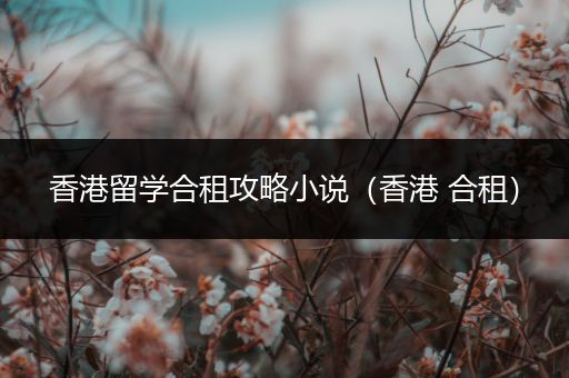 香港留学合租攻略小说（香港 合租）
