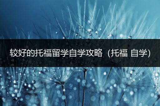 较好的托福留学自学攻略（托福 自学）