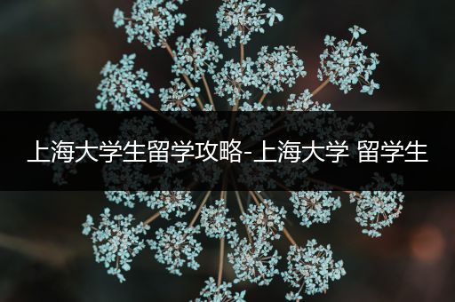上海大学生留学攻略-上海大学 留学生