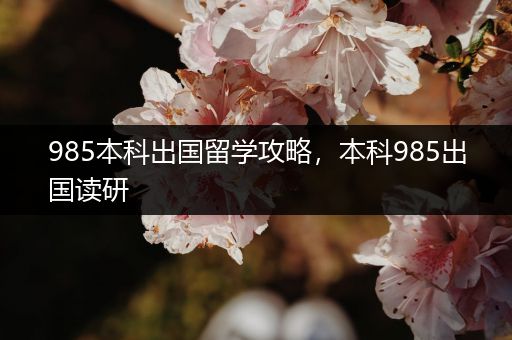 985本科出国留学攻略，本科985出国读研