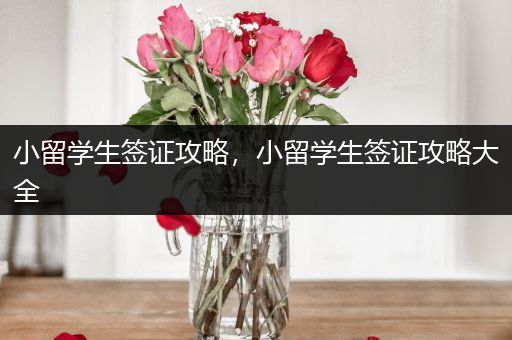 小留学生签证攻略，小留学生签证攻略大全