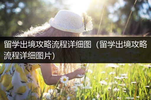 留学出境攻略流程详细图（留学出境攻略流程详细图片）